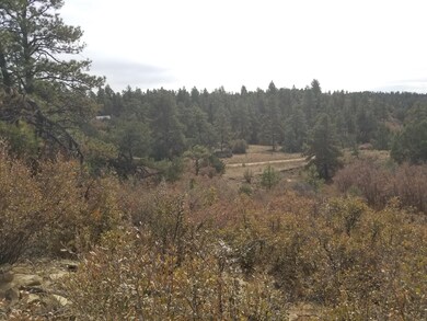 Rancho La Garita 230
