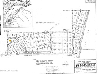 DNR Survey Plat of subdivision