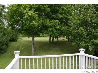 Backyard.