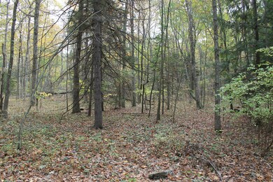 121 Outlet Rd, Dingmans Ferry, PA 18328 - photo 6