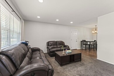 4-web-or-mls-DSC08533