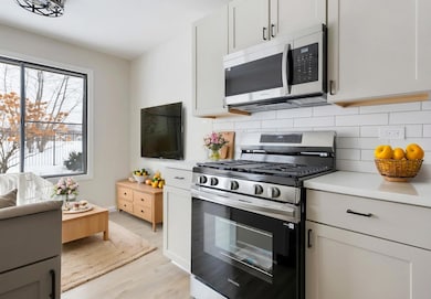 847 E Coach Rd unit 1, Palatine, IL 60074 - photo 6