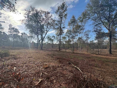 Lot 2 TBD County Road 4108, Henderson, TX 75654 - photo 4