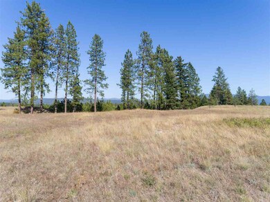 28107 N Perry Rd, Chattaroy, WA 99003 - photo 5