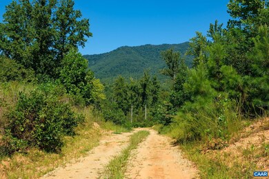 TBD Cub Creek Rd, Massies Mill, VA 22967 - photo 4