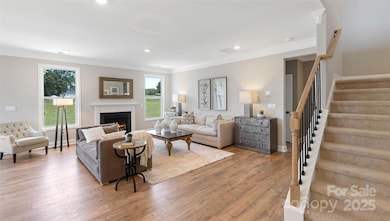 7203 Butternut Oak Terrace, Huntersville, NC 28078 - photo 4