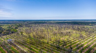 9585 Old Ga Highway 3, Baconton, GA 31716 - photo 4