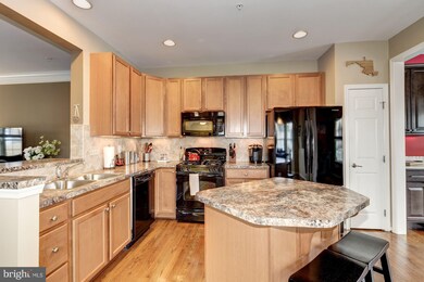 716 Lilac Tree Ln, Baltimore, MD 21225 - photo 2