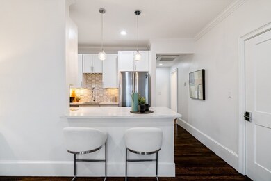 604 Tremont St unit 3, Boston, MA 02118 - photo 6
