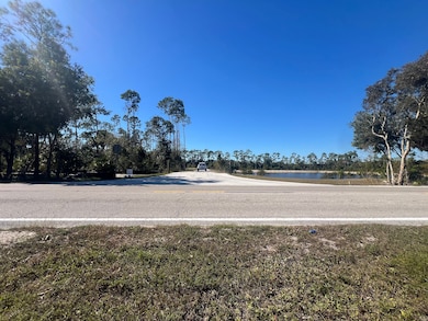 27730 Bonita Grande Dr, Bonita Springs, FL 34135 - photo 3