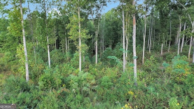 LT 272 Highgrove Dr, Talking Rock, GA 30175 - photo 3