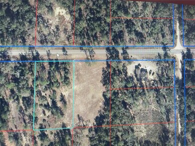 9650 NE 80th St, Bronson, FL 32621 - photo 6