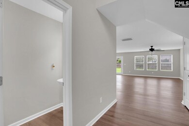 100 Baltic Ct, Chapin, SC 29036 - photo 5