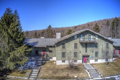 53 Birches Way unit BA1, Peru, VT 05152 - photo 2