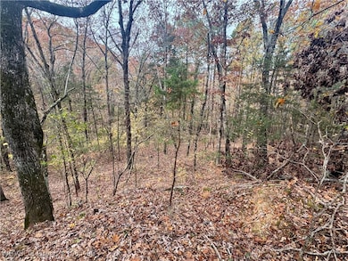 01 Arkansas 96, Cecil, AR 72930 - photo 3