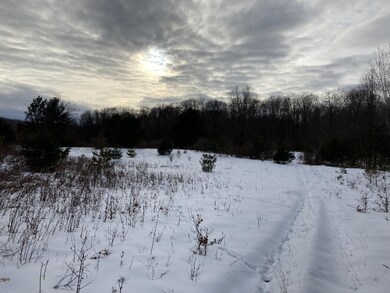 0 N Felch Ave unit 21003119, Sherman Township - Newaygo, MI 49349 - photo 7