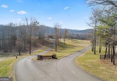 232 Andes Ridge, Ellijay, GA 30540 - photo 4