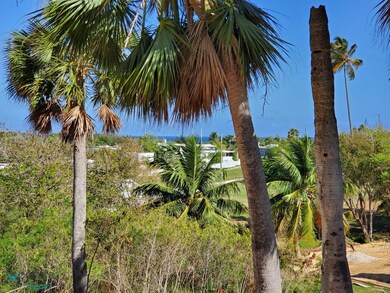 1 Calle Brisas Suave, Isabela, PR 00662 - photo 7