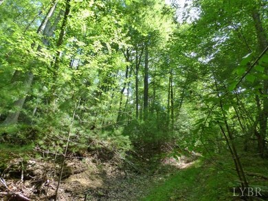 0 Pedlar River Rd unit 294062, Amherst, VA 24521 - photo 7