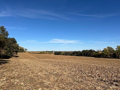 650 County Road R, Yutan, NE 68073 - photo 7