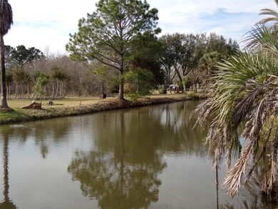 14714 Guy Rd, Waller, TX 77484 - photo 5