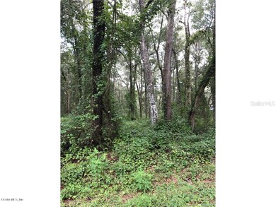 4972 N Dewey Way, Hernando, FL 34442 - photo 4