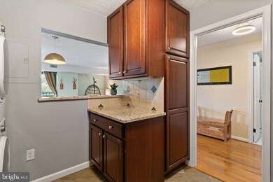 Lakeside Plaza Condominium unit 918, Baileys Crossroads, VA 22041 - photo 5