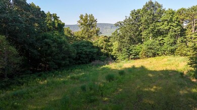 0 Mount Calvary Church Rd, Stuart, VA 24171 - photo 7