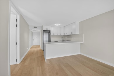 The San Remo Club unit V543, Boca Raton, FL 33431 - photo 5