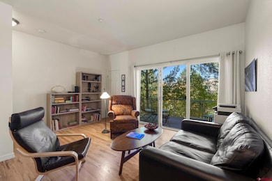 1140 Carbon Jct unit 24, Durango, CO 81301 - photo 5