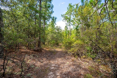 000 Fire Tower Rd, Aiken, SC 29803 - photo 4