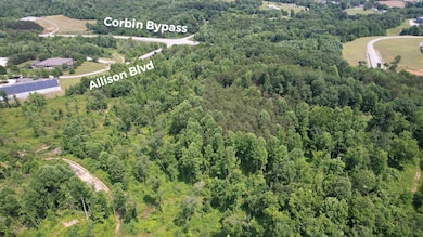 8888 Ky 3041 Bypass & Allison Blvd, Corbin, KY 40701 - photo 2