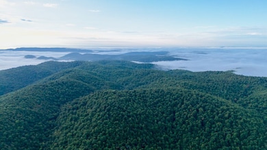 0000 County Road 6061, Flippin, AR 72634 - photo 7