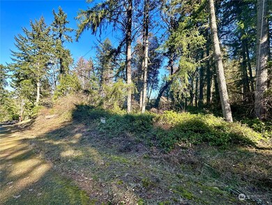 10113 Selma Cir, Anderson Island, WA 98303 - photo 7