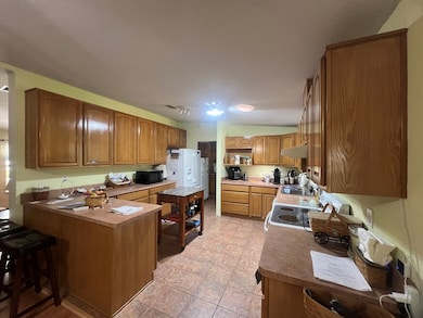 17430 NW 80 Ct, Fanning Springs, FL 32693 - photo 5