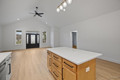 8810 W Stephenson Hwy, Onsted, MI 49265 - photo 3