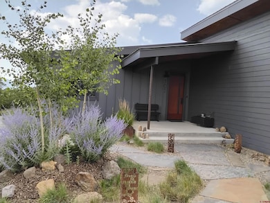 701 Henry's Lake Dr, Pagosa Springs, CO 81147 - photo 2