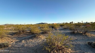 IMG_1357