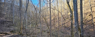 TBD Garrett Creek Rd, Abingdon, VA 24210 - photo 6