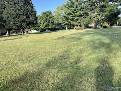 Lot 72 Hudgins Dr, Albertville, AL 35951 - photo 2