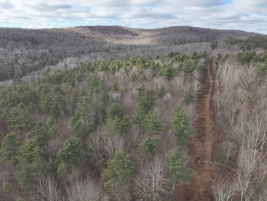 0 Pennsylvania 267, Choconut Township, PA 18818 - photo 3