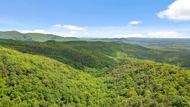 0 Highway 52 unit 415667, Chatsworth, GA 30705 - photo 4