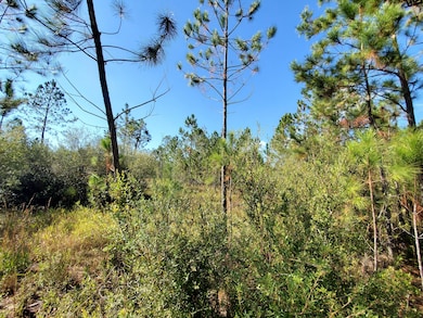 0 County Line Rd unit 20907517, Lee, FL 32059 - photo 7