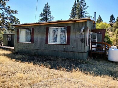 226 Scenic Dr, Canyon City, OR 97820 - photo 4