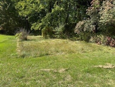 VL Carol St, Newaygo, MI 49337 - photo 5