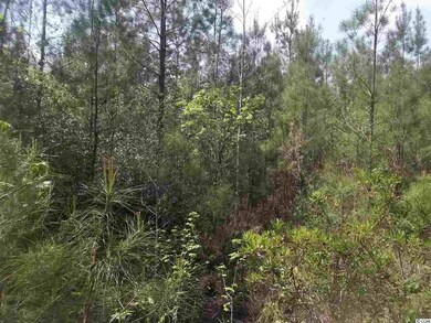 0 Coastal Oaks Dr, Conway, SC 29527 - photo 2