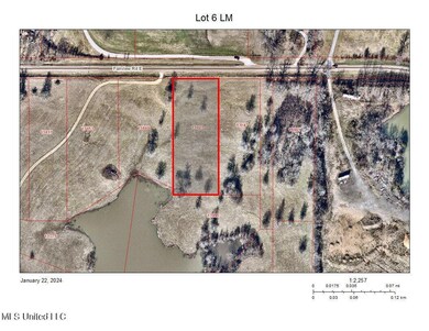 arial view Lot 6 LM