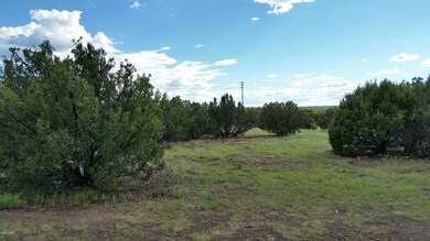 1639 Silver Lake Blvd, White Mountain Lake, AZ 85912 - photo 7