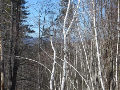 15 A-2 Lovell Rd, Sweden, ME 04040 - photo 2