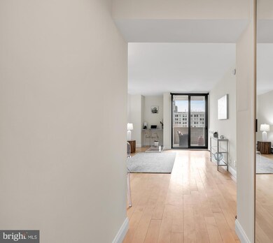 Carrollsburg Square North Tower unit N410, Washington, DC 20024 - photo 2